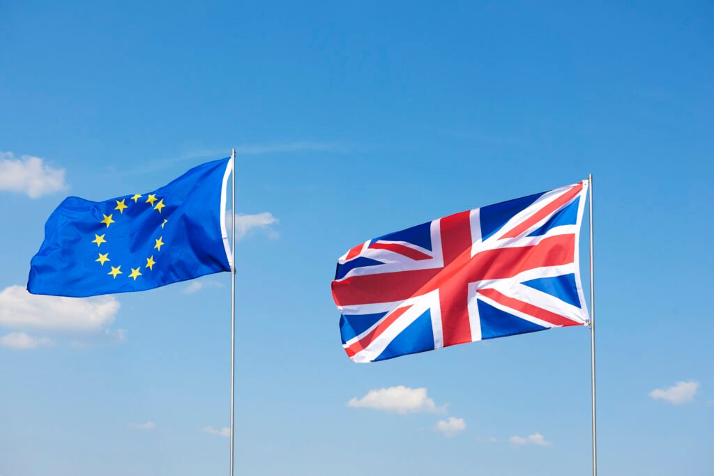 shot brexit flags waving outside