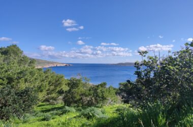 Plages de Malte