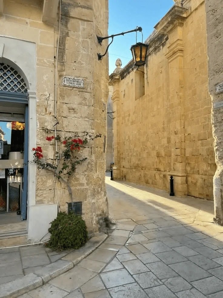 Hvad skal man lave på Valentinsdag på Malta (11 idéer) 7 billede 12