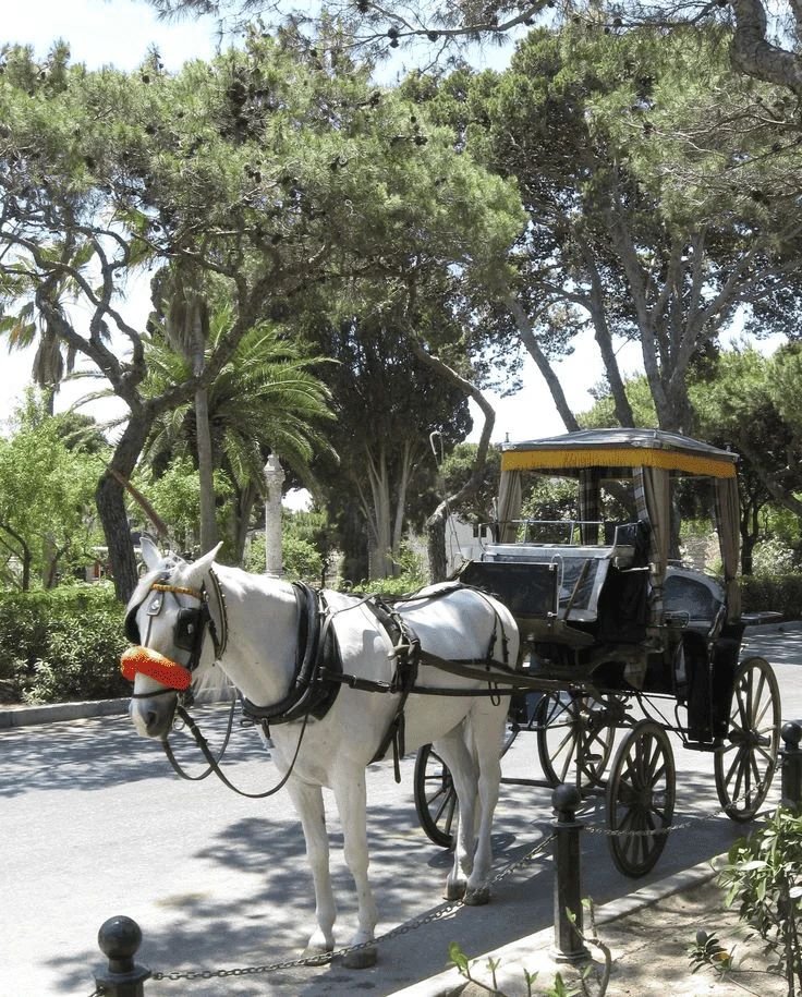 Hvad skal man lave på Valentinsdag på Malta (11 idéer) 6 billede 8