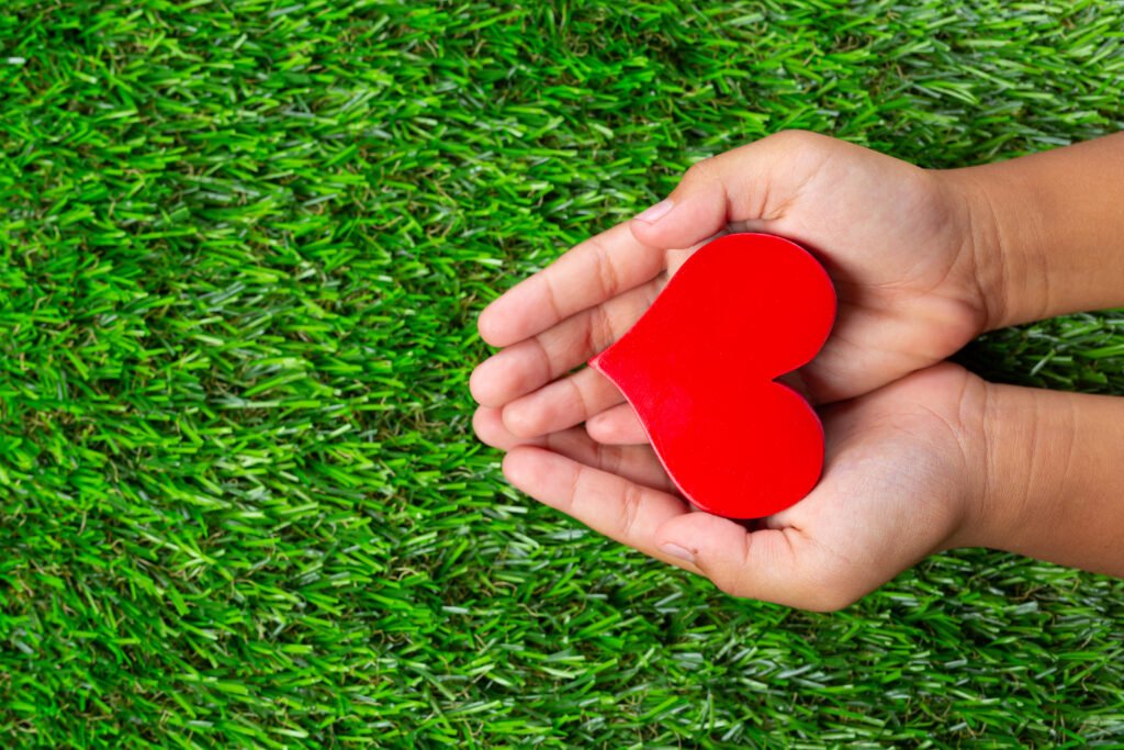 close up picture red heart shape hands