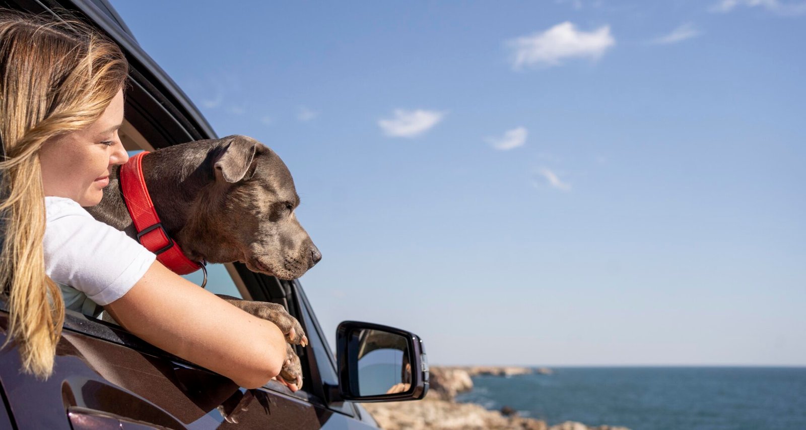 bring your pet to malta