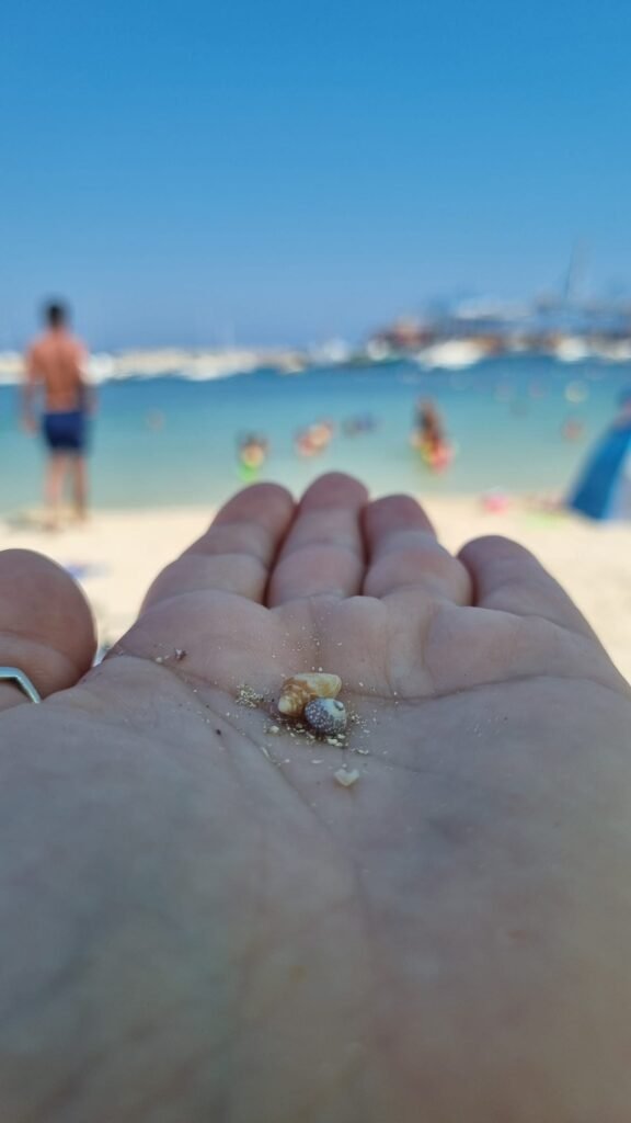 PHOTO 2025 12 11 19 19 11 1