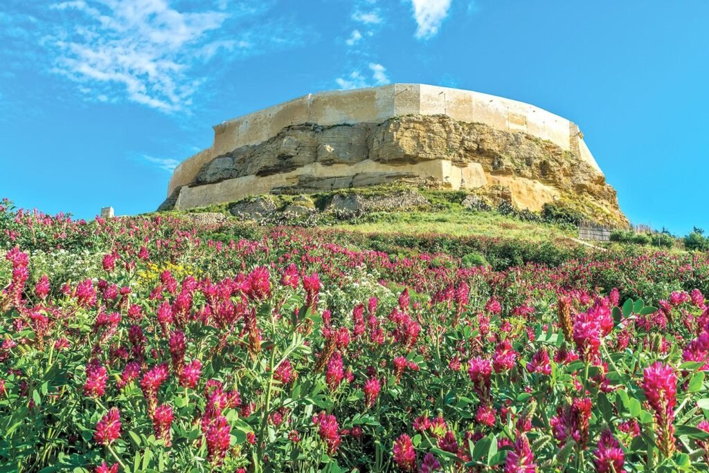 38e5a0c4da5378e7e4e51e70732b19db32f4113b 1708079369 18b187d8 1920x1280 2