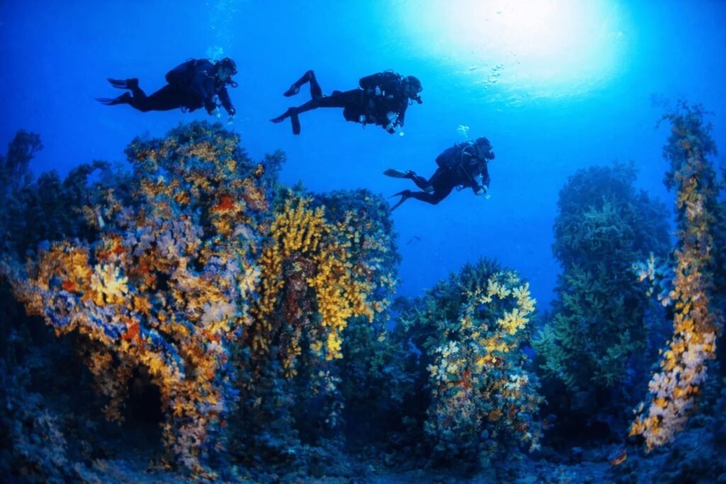 Spring Adventures in Malta: Five Must Try Sports 3 ChatGPT Image Mar 5 2026 10 39 15 AM